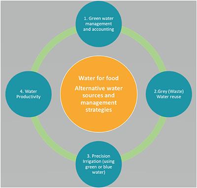 The Future of Water for Food